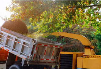 Shredding of branches in Brossard. The work is carried out by Emondage Brossard.