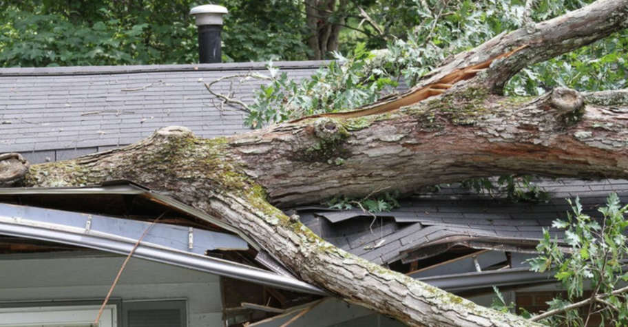Tree fell on house following a storm in Brossard. It will be removed by Emondage Brossard.