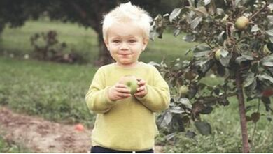 Enfant à Brossard qui mange une pomme d'un pommier planté par Emondage Brossard.
